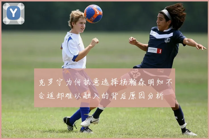 克罗宁为何执意选择杨瀚森明知不合适却难以融入的背后原因分析